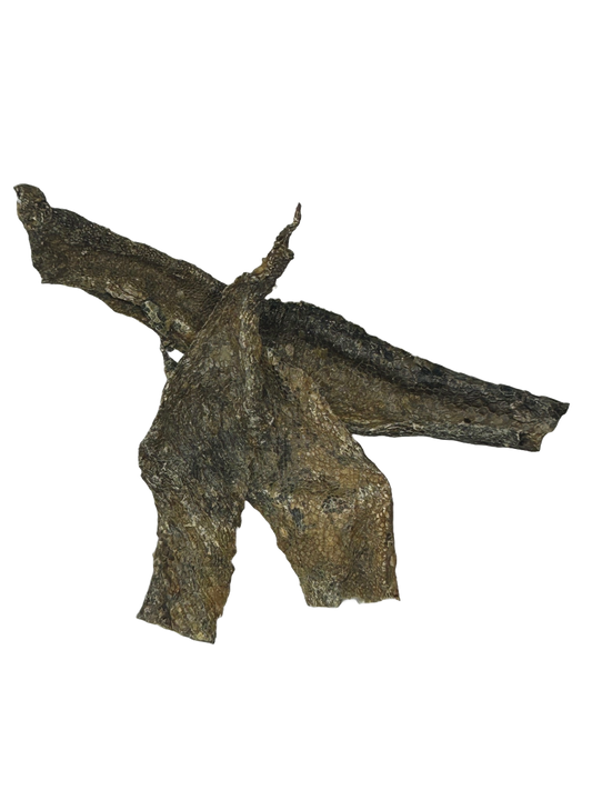 Ostrich Skin Slices