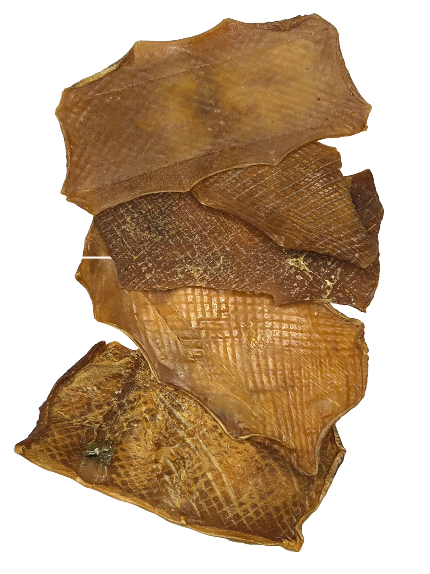 Squid Chews